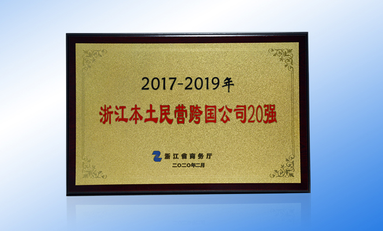 浙江本土民营跨国公司20强 官网使用.jpg